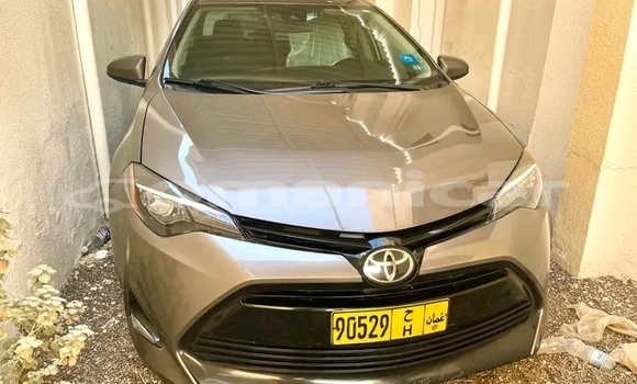 Buy Used Toyota Corolla Other Car in Suhar in al-Batinah Buy Used Toyota Corolla Other Car in Suhar in al-Batinah