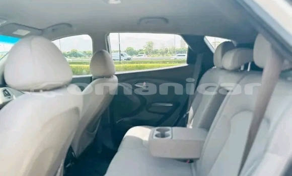 Buy Used Toyota Camry White Car in Matrah in Masqat