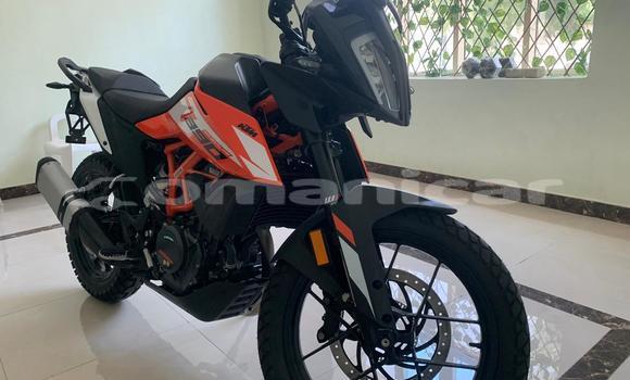 Buy Used KTM Duke Black Bike in Muscat in Masqat