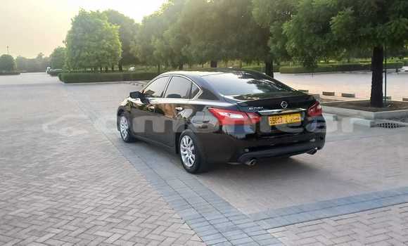 Buy Used Nissan Altima Black Car in Suhar in al-Batinah Buy Used Nissan Altima Black Car in Suhar in al-Batinah