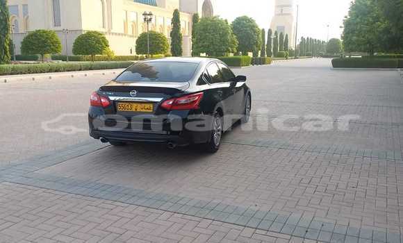 Buy Used Nissan Altima Black Car in Suhar in al-Batinah Buy Used Nissan Altima Black Car in Suhar in al-Batinah