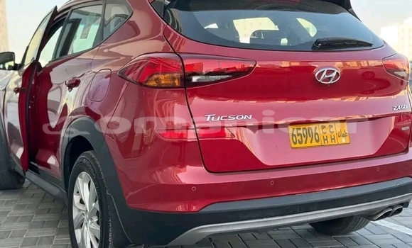Buy Used Hyundai Tucson Red Car in al–Mudaybi in ash-Sharqiyah Buy Used Hyundai Tucson Red Car in al–Mudaybi in ash-Sharqiyah
