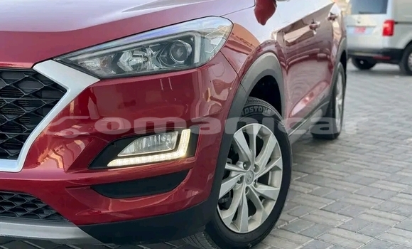 Buy Used Hyundai Tucson Red Car in al–Mudaybi in ash-Sharqiyah Buy Used Hyundai Tucson Red Car in al–Mudaybi in ash-Sharqiyah