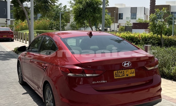 Buy Used Hyundai Elantra Red Car in Muscat in Masqat Buy Used Hyundai Elantra Red Car in Muscat in Masqat