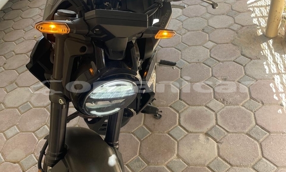 Buy Used Honda CBR Black Bike in Muscat in Masqat Buy Used Honda CBR Black Bike in Muscat in Masqat