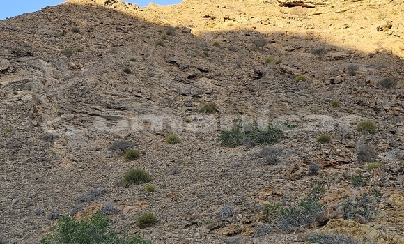 Buy Used Mitsubishi Pajero White Car in Muscat in Masqat Buy Used Mitsubishi Pajero White Car in Muscat in Masqat