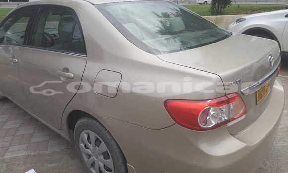 Buy Used Toyota Corolla Beige Car in Muscat in Masqat Buy Used Toyota Corolla Beige Car in Muscat in Masqat