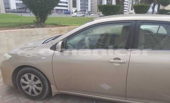 Buy Used Toyota Corolla Beige Car in Muscat in Masqat Buy Used Toyota Corolla Beige Car in Muscat in Masqat