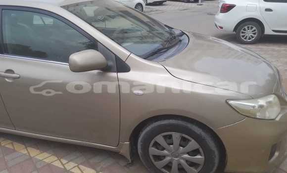 Buy Used Toyota Corolla Beige Car in Muscat in Masqat Buy Used Toyota Corolla Beige Car in Muscat in Masqat