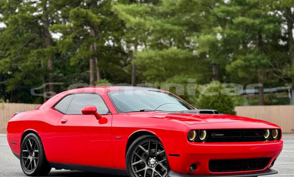 Buy Used Dodge Challenger Red Car in Muscat in Masqat Buy Used Dodge Challenger Red Car in Muscat in Masqat
