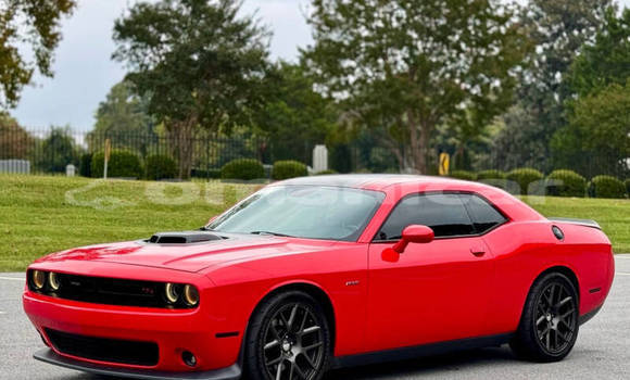 Buy Used Dodge Challenger Red Car in Muscat in Masqat Buy Used Dodge Challenger Red Car in Muscat in Masqat