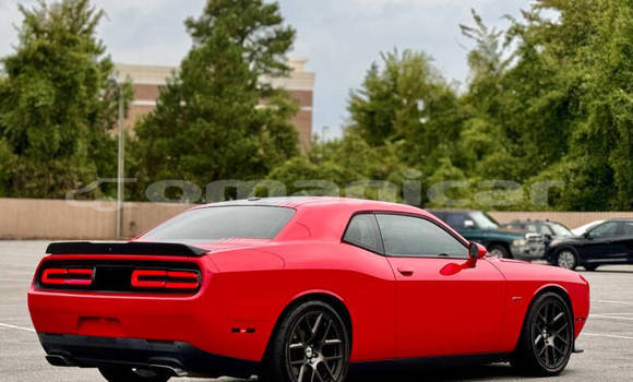 Buy Used Dodge Challenger Red Car in Muscat in Masqat Buy Used Dodge Challenger Red Car in Muscat in Masqat