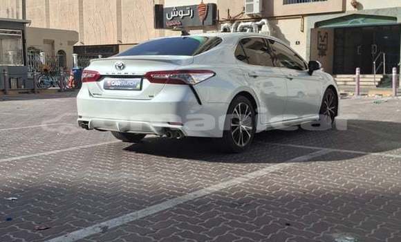 Buy Used Toyota Camry White Car in Muscat in Masqat Buy Used Toyota Camry White Car in Muscat in Masqat