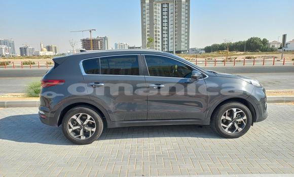 Buy Used Kia Sportage Other Car in Muscat in Masqat Buy Used Kia Sportage Other Car in Muscat in Masqat