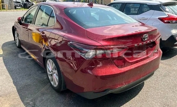 Buy Used BMW 2-Series Red Car in as–Suwayq in al-Batinah Buy Used BMW 2-Series Red Car in as–Suwayq in al-Batinah