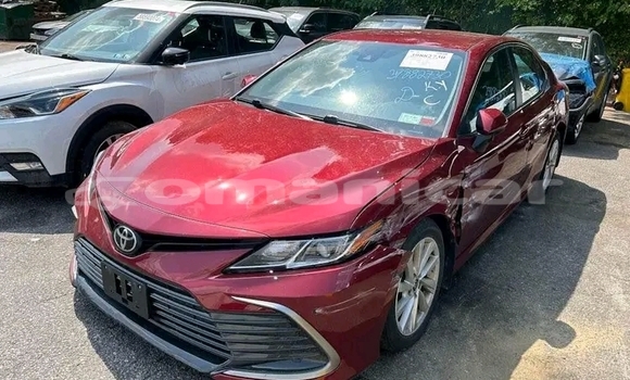 Buy Used BMW 2-Series Red Car in as–Suwayq in al-Batinah Buy Used BMW 2-Series Red Car in as–Suwayq in al-Batinah