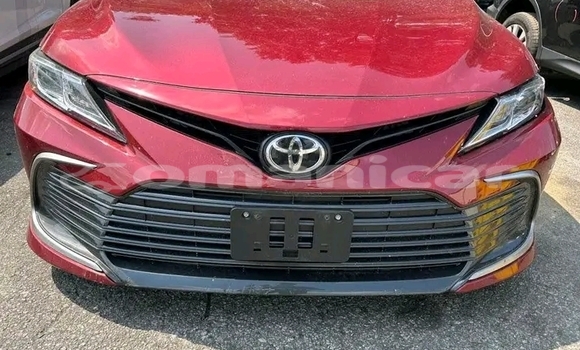 Buy Used BMW 2-Series Red Car in as–Suwayq in al-Batinah Buy Used BMW 2-Series Red Car in as–Suwayq in al-Batinah