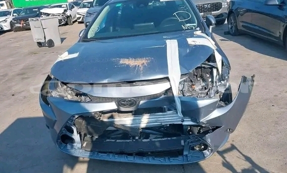 Buy Used BMW 4er Black Car in Khasab in Musandam