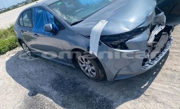 Buy Used BMW 4er Black Car in Khasab in Musandam Buy Used BMW 4er Black Car in Khasab in Musandam