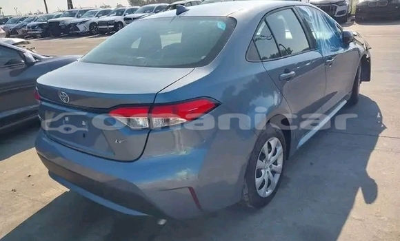 Buy Used BMW 4er Black Car in Khasab in Musandam Buy Used BMW 4er Black Car in Khasab in Musandam