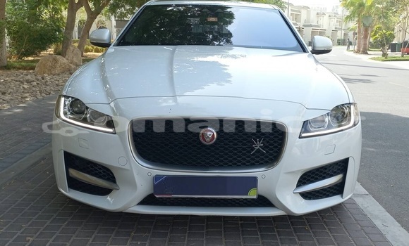 Buy Used Jaguar XF White Car in Muscat in Masqat Buy Used Jaguar XF White Car in Muscat in Masqat