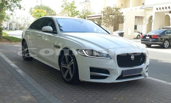 Buy Used Jaguar XF White Car in Muscat in Masqat Buy Used Jaguar XF White Car in Muscat in Masqat