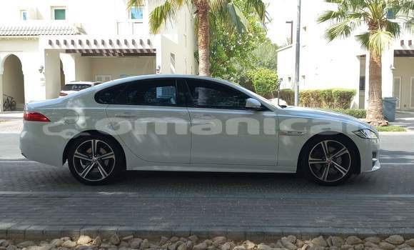 Buy Used Jaguar XF White Car in Muscat in Masqat Buy Used Jaguar XF White Car in Muscat in Masqat