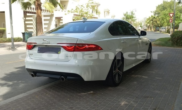 Buy Used Jaguar XF White Car in Muscat in Masqat Buy Used Jaguar XF White Car in Muscat in Masqat