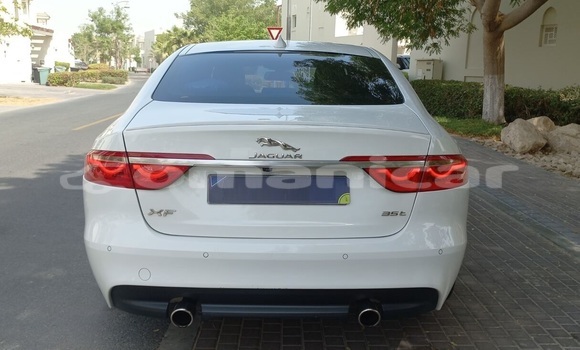 Buy Used Jaguar XF White Car in Muscat in Masqat Buy Used Jaguar XF White Car in Muscat in Masqat