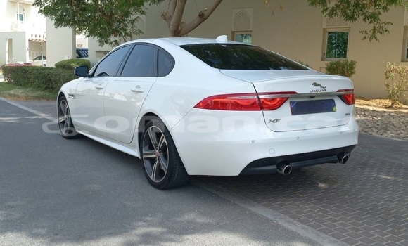 Buy Used Jaguar XF White Car in Muscat in Masqat Buy Used Jaguar XF White Car in Muscat in Masqat