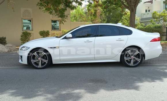 Buy Used Jaguar XF White Car in Muscat in Masqat Buy Used Jaguar XF White Car in Muscat in Masqat