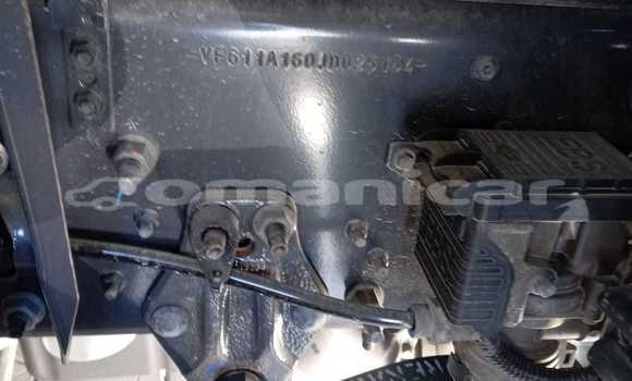 Buy Used Renault D55 White Truck in Saham in al-Batinah