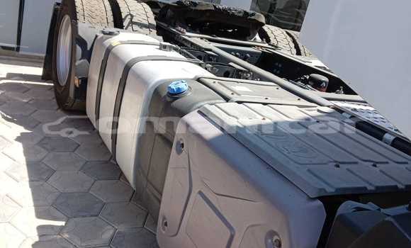 Buy Used Renault D55 White Truck in Saham in al-Batinah Buy Used Renault D55 White Truck in Saham in al-Batinah