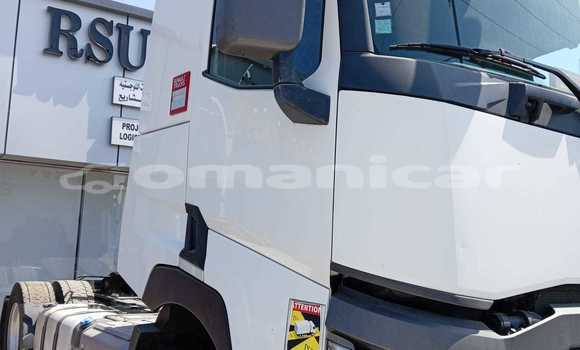 Buy Used Renault D55 White Truck in Saham in al-Batinah Buy Used Renault D55 White Truck in Saham in al-Batinah