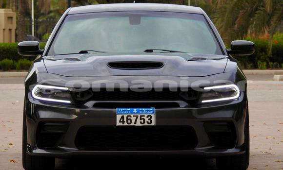 muscat Exploring the Vibrant Souk of Muscat, Oman | TikTok