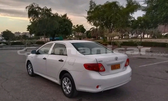 Buy Used Toyota Corolla White Car in as–Sib in Masqat Buy Used Toyota Corolla White Car in as–Sib in Masqat