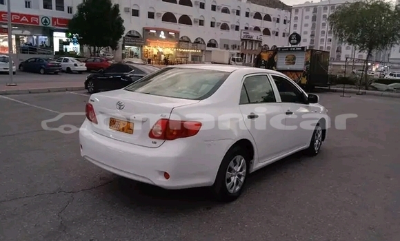 Buy Used Toyota Corolla White Car in as–Sib in Masqat Buy Used Toyota Corolla White Car in as–Sib in Masqat
