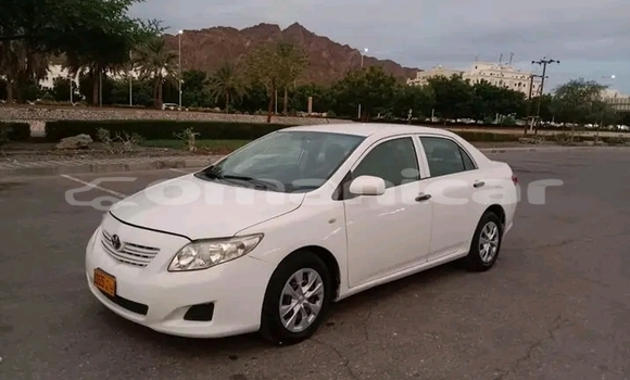 Buy Used Toyota Corolla White Car in as–Sib in Masqat Buy Used Toyota Corolla White Car in as–Sib in Masqat