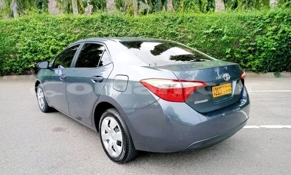 Buy Used Toyota Corolla Other Car in Muttrah in Masqat Buy Used Toyota Corolla Other Car in Muttrah in Masqat