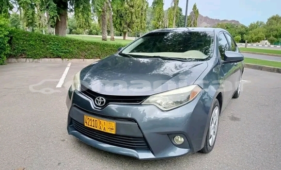 Buy Used Toyota Corolla Other Car in Muttrah in Masqat Buy Used Toyota Corolla Other Car in Muttrah in Masqat
