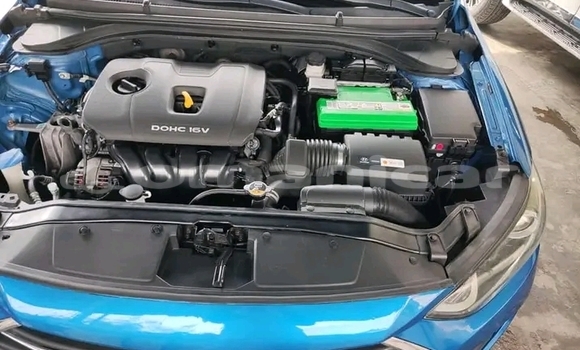 Buy Used Hyundai Elantra Blue Car in as–Sib in Masqat Buy Used Hyundai Elantra Blue Car in as–Sib in Masqat