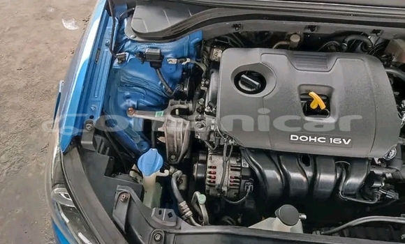 Buy Used Hyundai Elantra Blue Car in as–Sib in Masqat Buy Used Hyundai Elantra Blue Car in as–Sib in Masqat