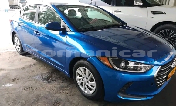 Buy Used Hyundai Elantra Blue Car in as–Sib in Masqat Buy Used Hyundai Elantra Blue Car in as–Sib in Masqat