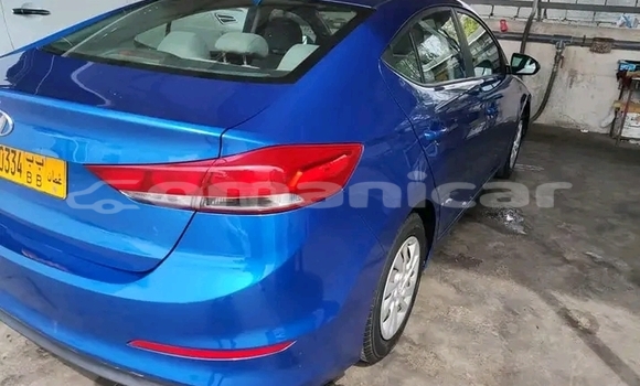Buy Used Hyundai Elantra Blue Car in as–Sib in Masqat Buy Used Hyundai Elantra Blue Car in as–Sib in Masqat