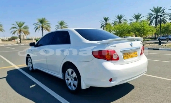 Buy Used Toyota Corolla White Car in Matrah in Masqat Buy Used Toyota Corolla White Car in Matrah in Masqat