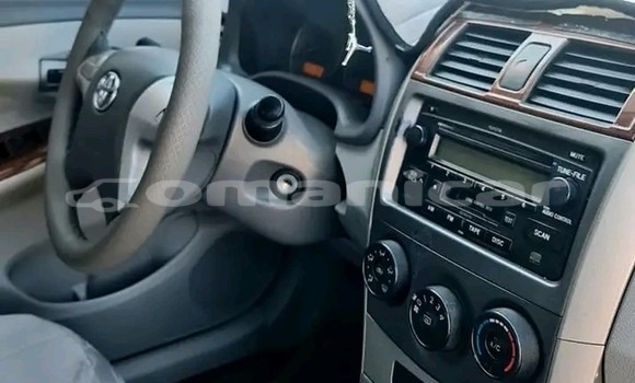 Buy Used Toyota Corolla White Car in Matrah in Masqat Buy Used Toyota Corolla White Car in Matrah in Masqat