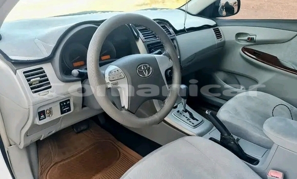 Buy Used Toyota Corolla White Car in Matrah in Masqat Buy Used Toyota Corolla White Car in Matrah in Masqat