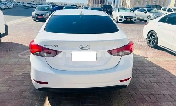 Buy Used Hyundai Elantra White Car in ar–Rustaq in al-Batinah Buy Used Hyundai Elantra White Car in ar–Rustaq in al-Batinah