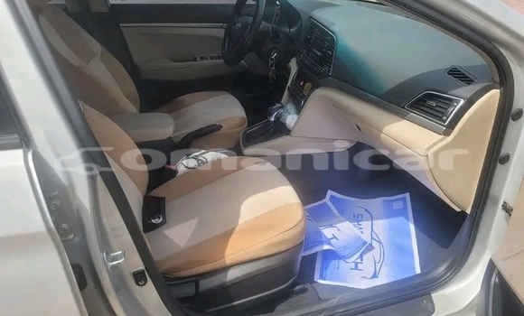 Buy Used Hyundai Elantra Other Car in Khasab in Musandam Buy Used Hyundai Elantra Other Car in Khasab in Musandam