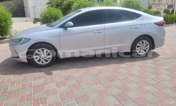 Buy Used Hyundai Elantra Other Car in Khasab in Musandam Buy Used Hyundai Elantra Other Car in Khasab in Musandam